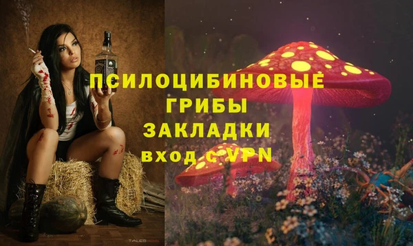 ГАЛЛЮЦИНОГЕННЫЕ ГРИБЫ Белая Холуница