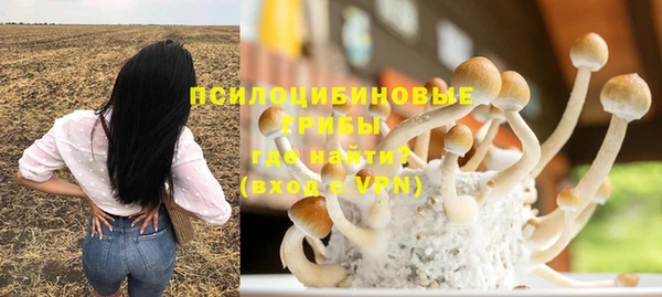 трава Куйбышев