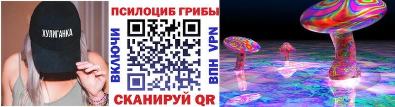 Галлюциногенные грибы Psilocybine cubensis  ОМГ ОМГ как зайти  Мамадыш  наркошоп 